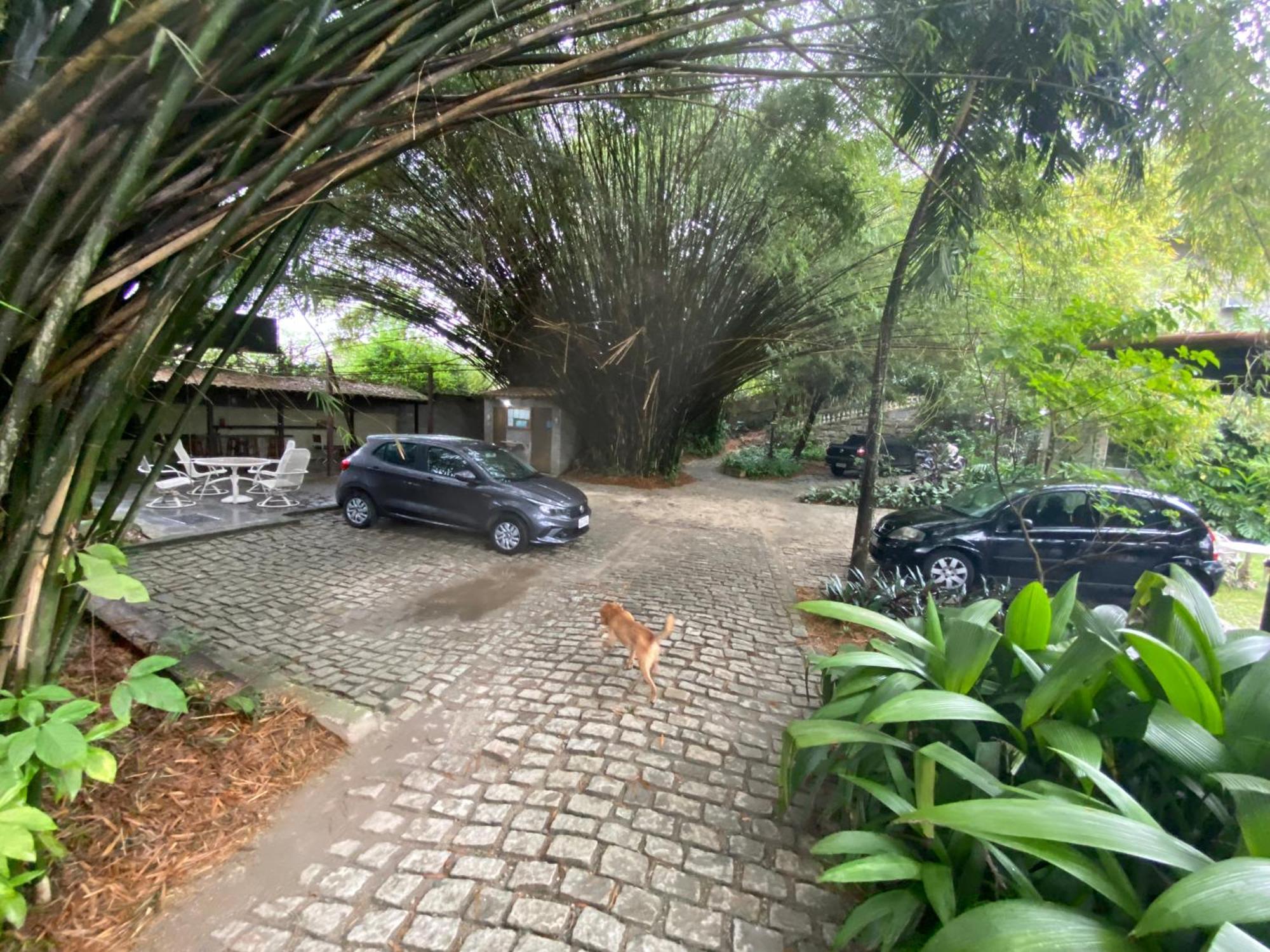 Rio Natureza Apart 114 リオデジャネイロ エクステリア 写真